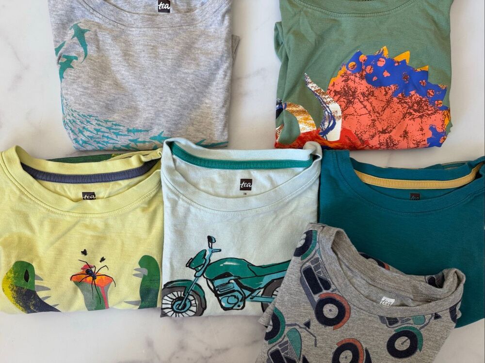 Tea boys 10 -14 cotton tee bundle Amazon jungle animal shark triceratops dinosau